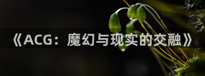 YY漫画阅读:《ACG:魔幻与现实的交融》配图