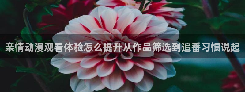 YY漫画官网:亲情动漫观看体验怎么提升从作品筛选到追番习惯说起配图