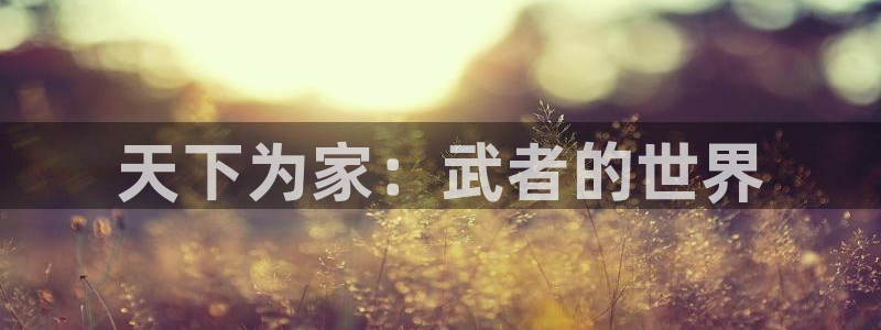 YY漫画免费在线看:天下为家:武者的世界配图