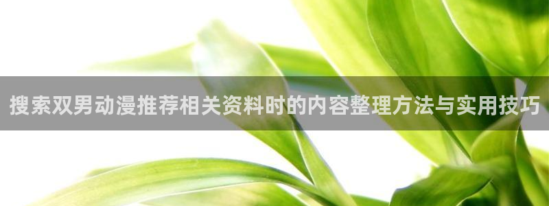 YY漫画中文阅读：搜索双男动漫推荐相关资料时的内容整理方法与实用技巧配图