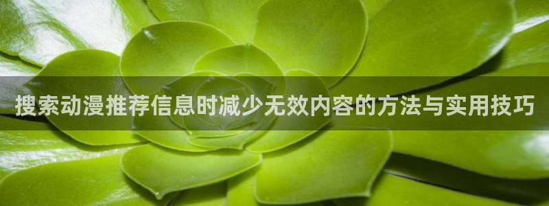 YY漫画网页版在线阅读：搜索动漫推荐信息时减少无效内容的方法与实用技巧配图