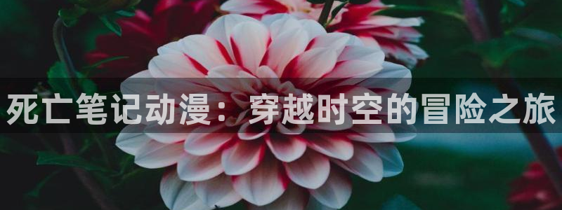 YY漫画热门作品：死亡笔记动漫：穿越时空的冒险之旅配图